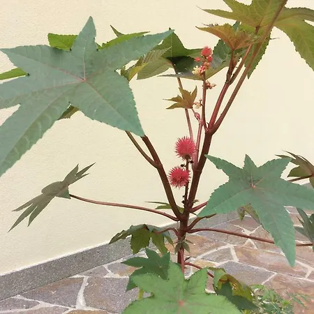 La Finestra Sui Colli *